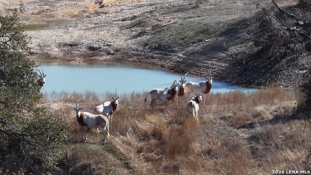 Image 59 of 66 For 2587 Falling Oak