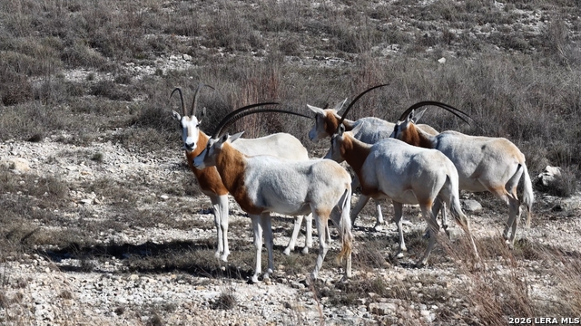 Image 60 of 66 For 2587 Falling Oak