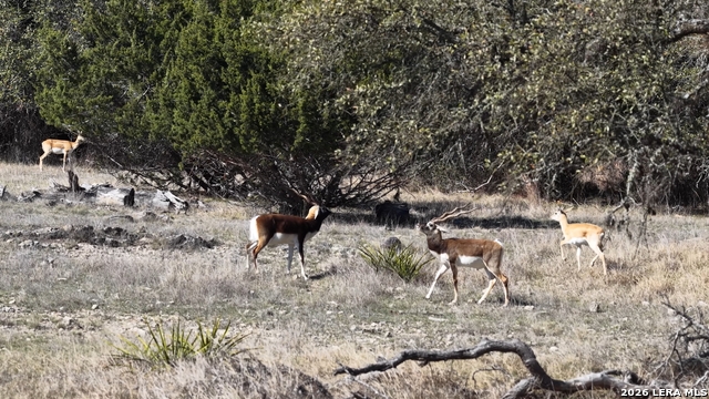 Image 61 of 66 For 2587 Falling Oak