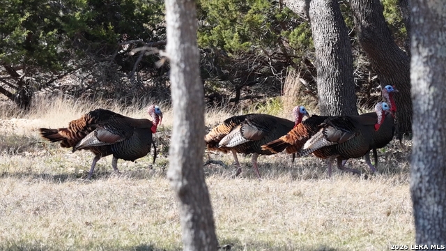Image 64 of 66 For 2587 Falling Oak