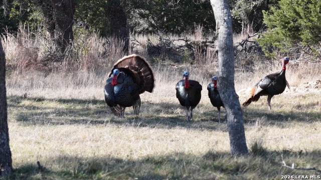 Image 65 of 66 For 2587 Falling Oak