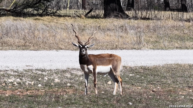 Image 66 of 66 For 2587 Falling Oak