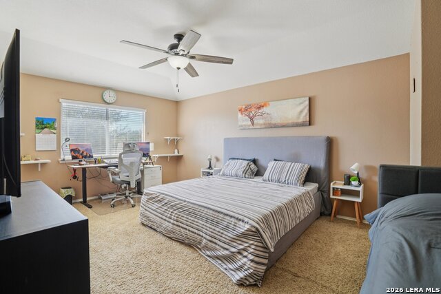 Image 17 of 26 For 545 Celtic Ash