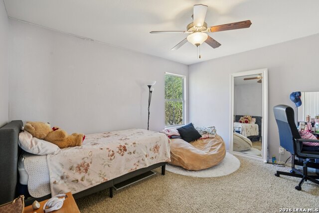 Image 18 of 26 For 545 Celtic Ash