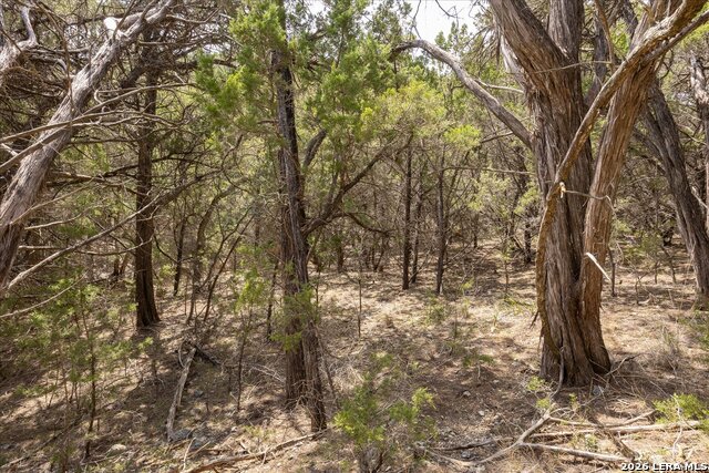 Image 12 of 36 For 415 Sparkling Springs