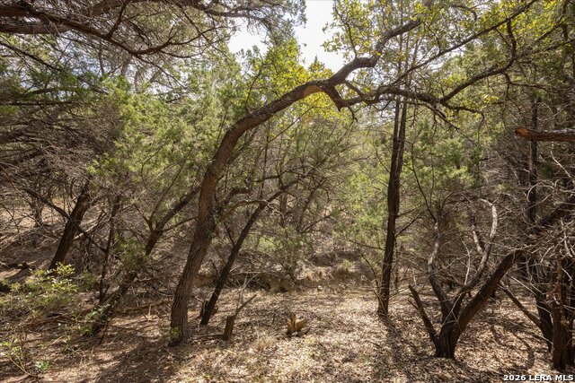 Image 13 of 36 For 415 Sparkling Springs