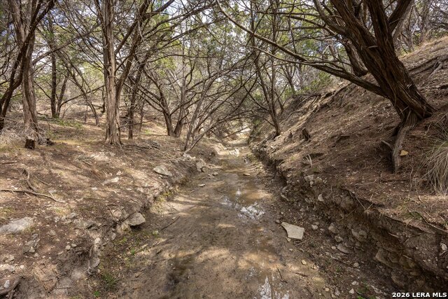 Image 16 of 36 For 415 Sparkling Springs