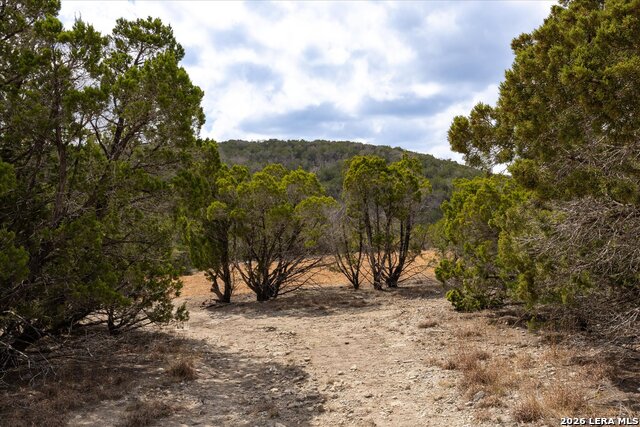 Image 3 of 36 For 415 Sparkling Springs