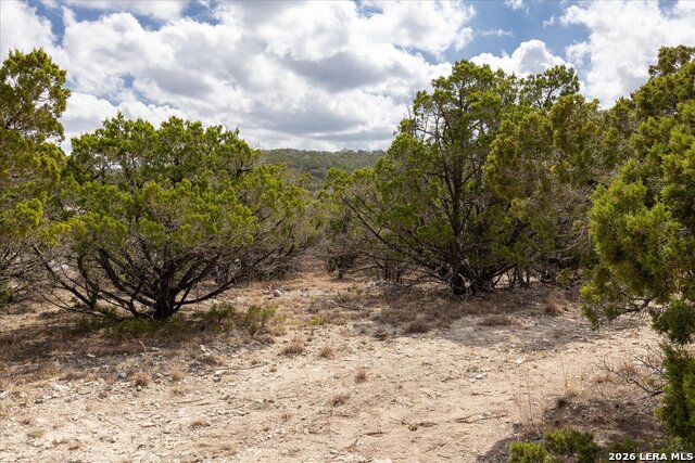 Image 4 of 36 For 415 Sparkling Springs