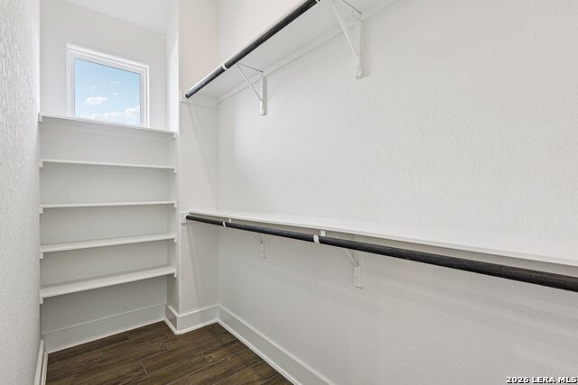 Image 34 of 62 For 1138 Cape May Warbler