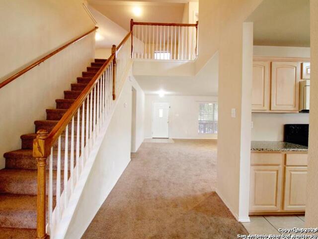 Image 15 of 39 For 7326 Tamburo