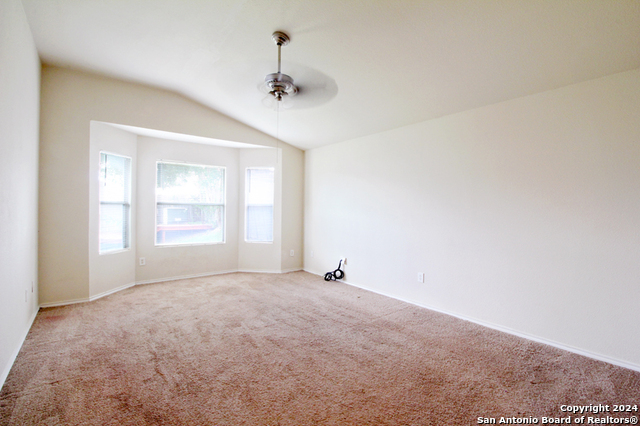 Image 20 of 39 For 7326 Tamburo