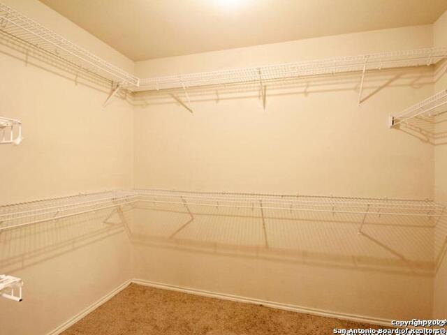 Image 28 of 39 For 7326 Tamburo