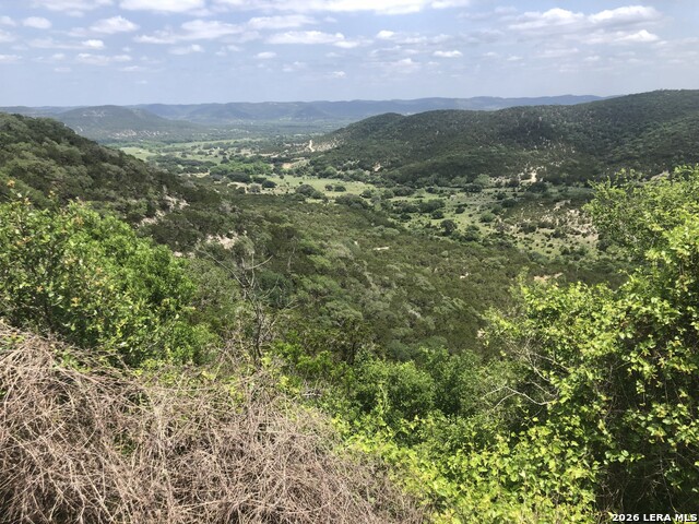 Details for 166 Walden Ridge, Tarpley, TX 78883