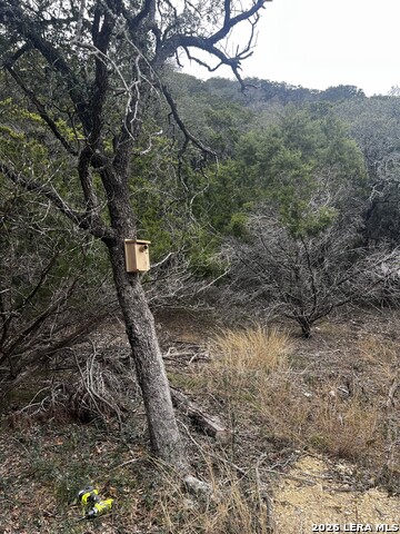 Image 11 of 16 For 166 Walden Ridge