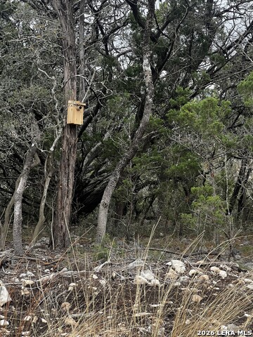 Image 12 of 16 For 166 Walden Ridge