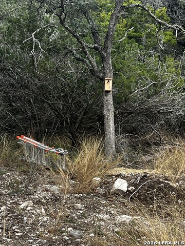 Image 13 of 16 For 166 Walden Ridge