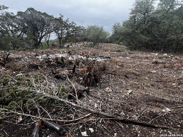 Image 4 of 16 For 166 Walden Ridge