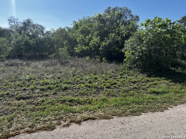 Image 10 of 15 For Mariposa Mariposa