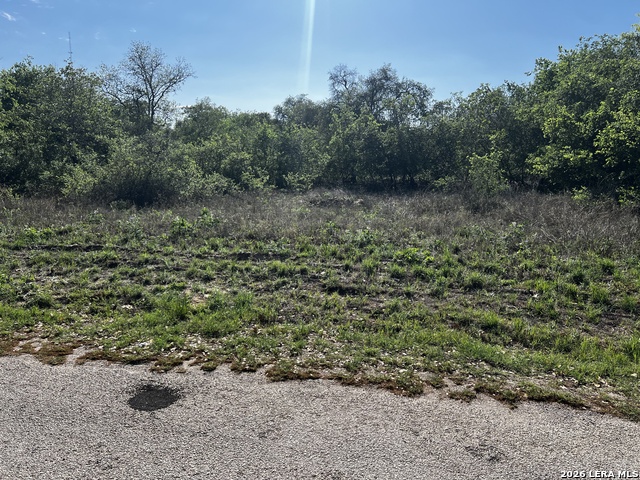 Image 11 of 15 For Mariposa Mariposa