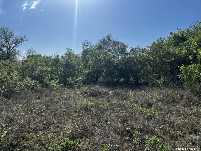 Image 12 of 15 For Mariposa Mariposa