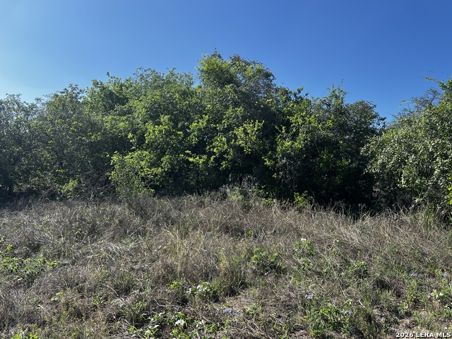 Image 13 of 15 For Mariposa Mariposa