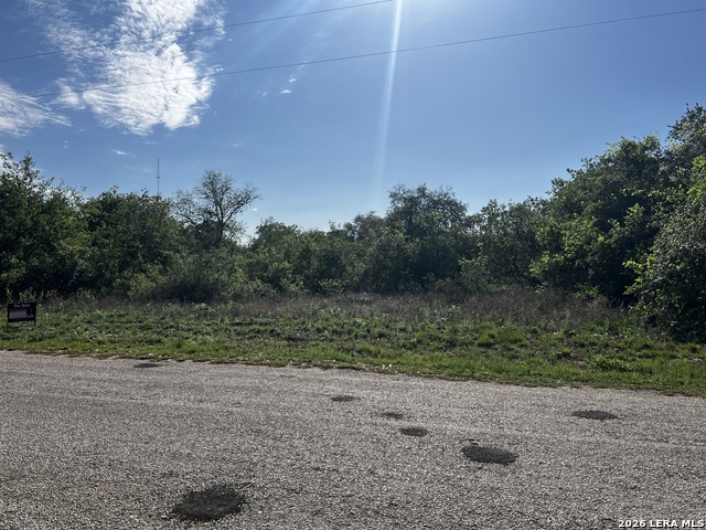 Image 4 of 15 For Mariposa Mariposa