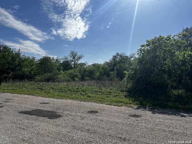 Image 5 of 15 For Mariposa Mariposa