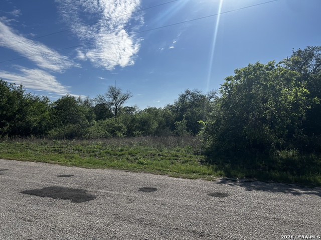 Image 6 of 15 For Mariposa Mariposa