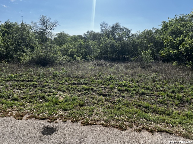 Image 7 of 15 For Mariposa Mariposa