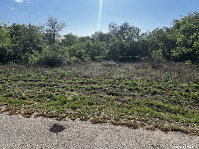 Image 8 of 15 For Mariposa Mariposa