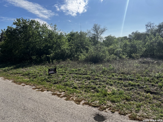 Image 9 of 15 For Mariposa Mariposa