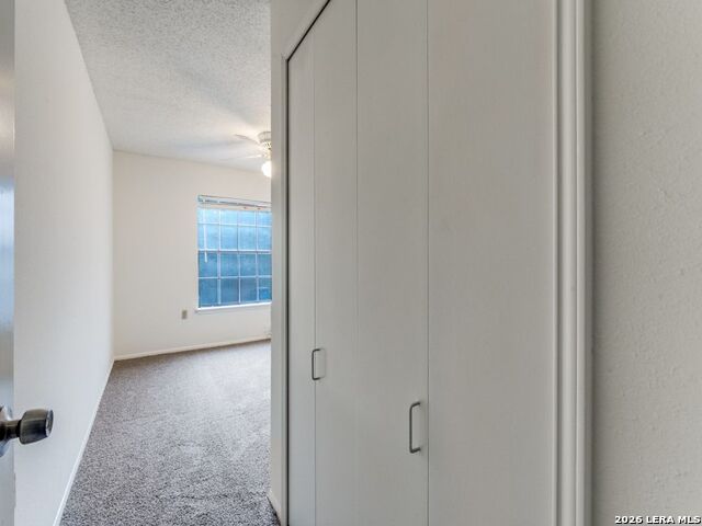 Image 14 of 25 For 6923 Raintree