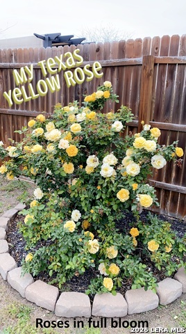 Image 43 of 43 For 124 Field Ridge