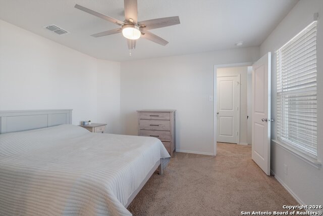 Image 14 of 22 For 132 Black Scoter