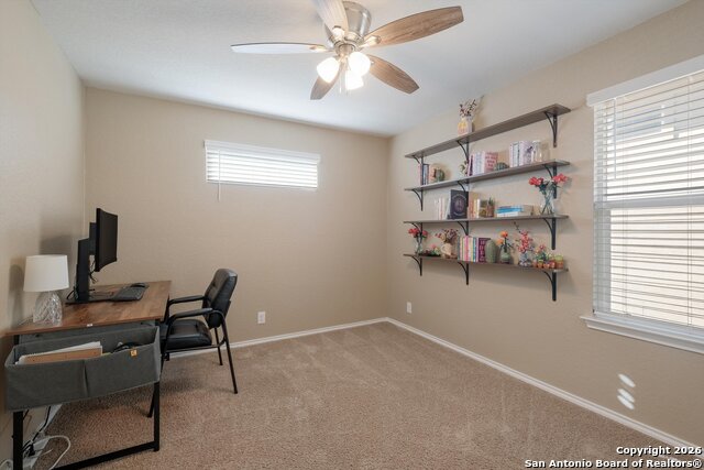 Image 17 of 22 For 132 Black Scoter