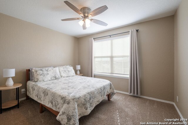 Image 19 of 22 For 132 Black Scoter