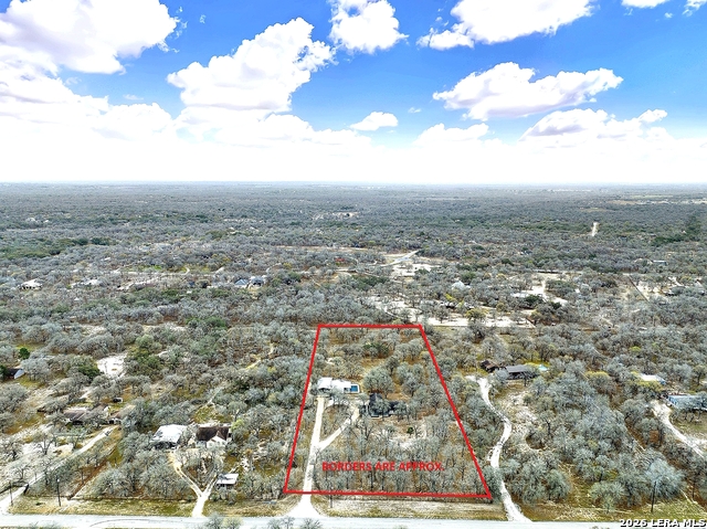 Image 6 of 36 For 1026 Wild Flower