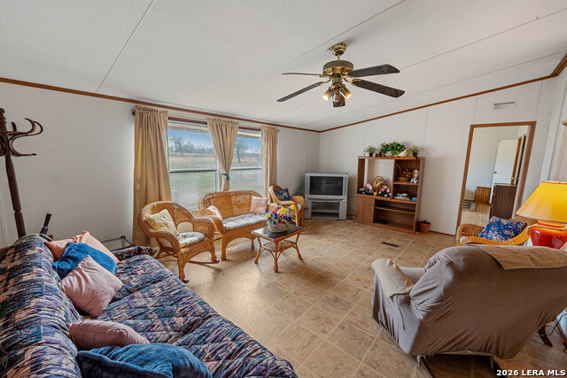 Image 11 of 30 For 104 Longhorn