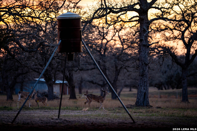 Image 28 of 30 For 104 Longhorn