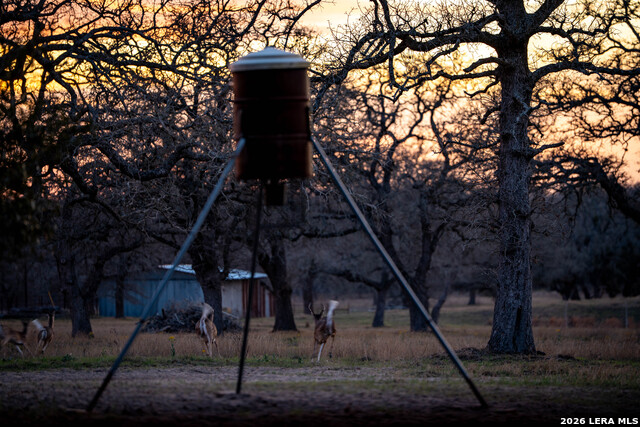 Image 29 of 30 For 104 Longhorn