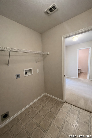 Image 13 of 20 For 4002 Angel Trumpet