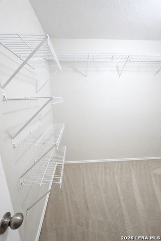 Image 14 of 20 For 4002 Angel Trumpet