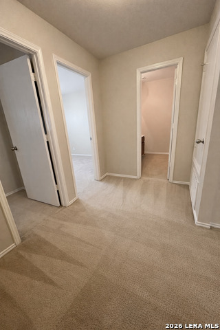 Image 15 of 20 For 4002 Angel Trumpet