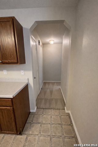 Image 6 of 20 For 4002 Angel Trumpet