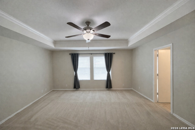 Image 7 of 20 For 4002 Angel Trumpet