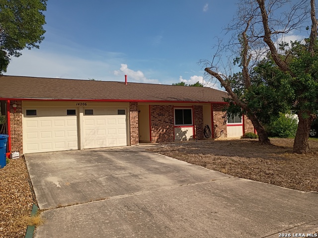 Image 11 of 15 For 14206 Cork Tree