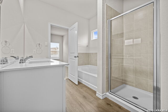 Image 14 of 30 For 209 Squacco Heron