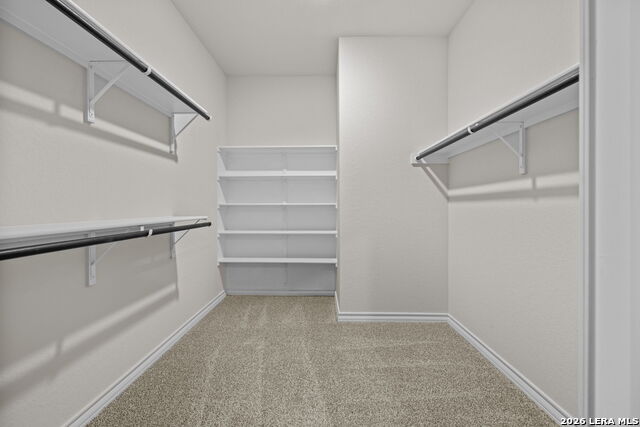 Image 15 of 30 For 209 Squacco Heron