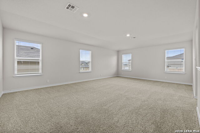 Image 16 of 30 For 209 Squacco Heron